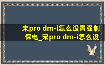 宋pro dm-i怎么设置强制保电_宋pro dm-i怎么设置才不会失速